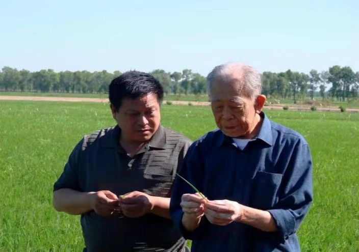 徐一戎：终一生只为寒地稻花香(图2)