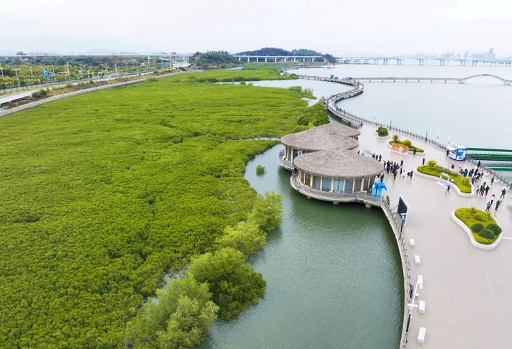 改变中国，影响世界——智库报告解析新时代全面深化改革(图4)