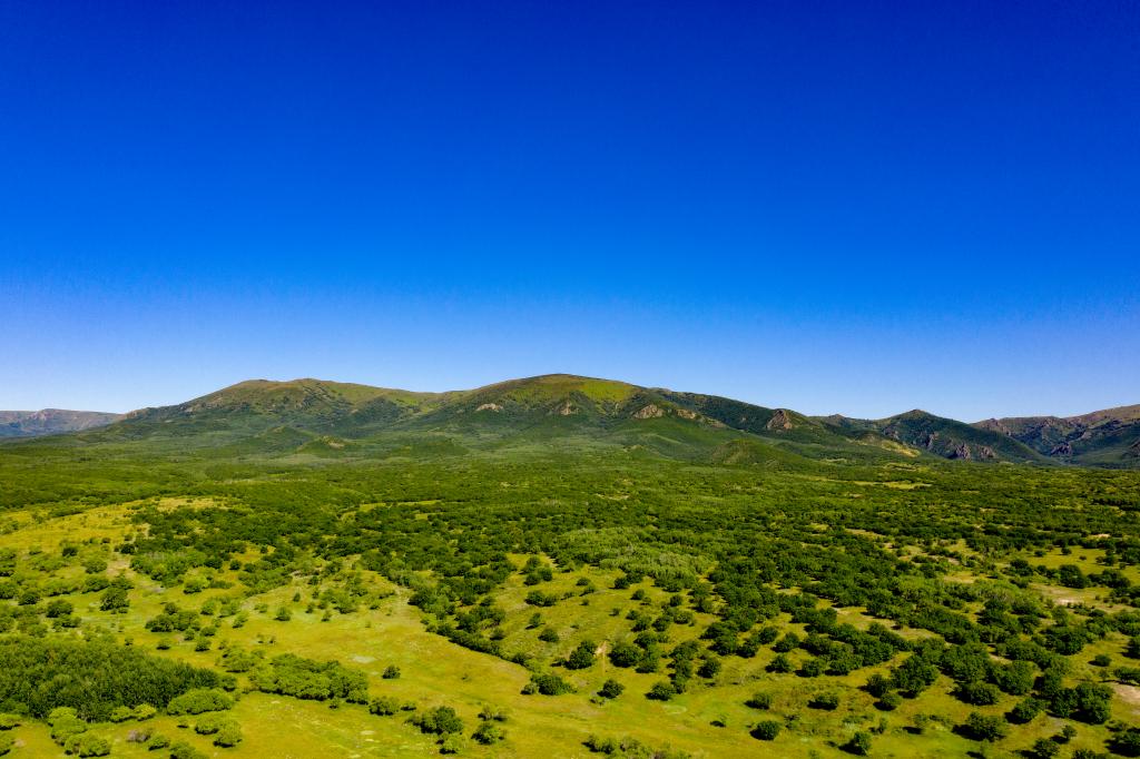 内蒙古巴林右旗:念活"山水经"吃上"生态饭"