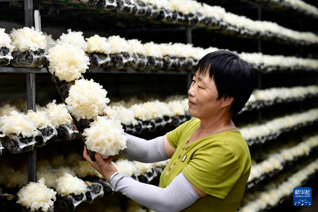 山东惠民：发展特色产业助推乡村振兴(图3)