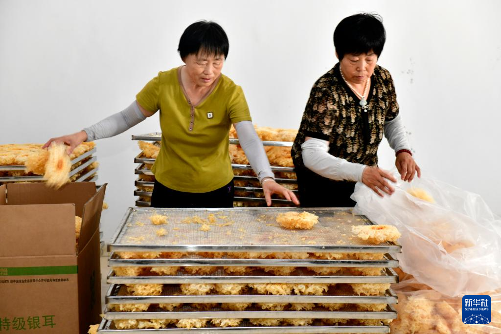 山东惠民：发展特色产业助推乡村振兴(图4)