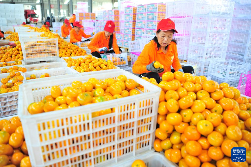 深秋收获忙(图10)