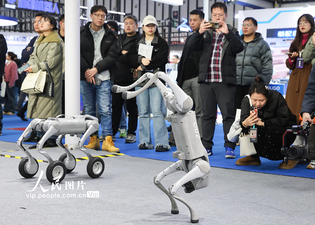 江苏：2024世界智能制造大会在南京开幕【6】