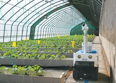 3月21日，无人巡检机器人在天津一家智慧农业园区内巡控。新华社记者 孙凡越摄