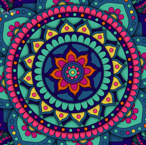 图片