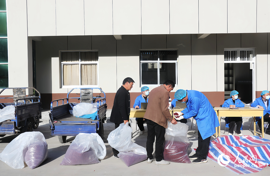 村民在售卖山茱萸。人民网记者 霍亚平摄