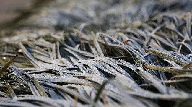 张贺 拷贝.jpg 图片