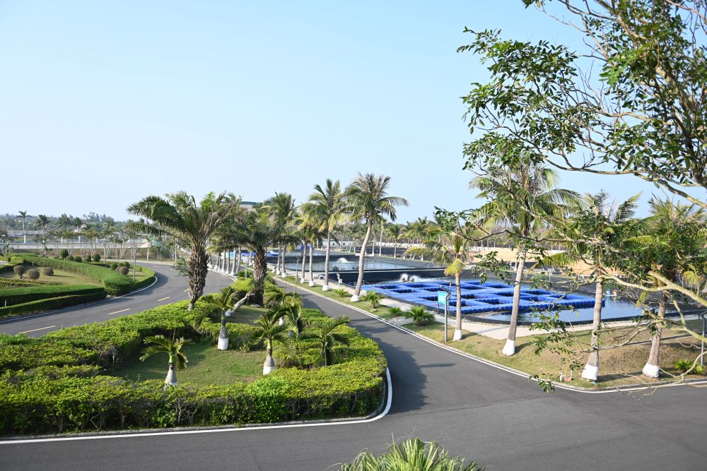 4月8日，位于广东湛江的国家863计划项目海水养殖种子工程南方基地。新华社记者 肖恩楠 摄