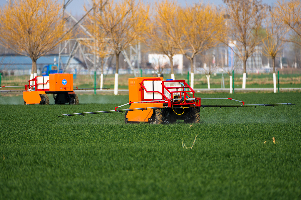 3月9日，喷药机器人在田间喷洒农药。