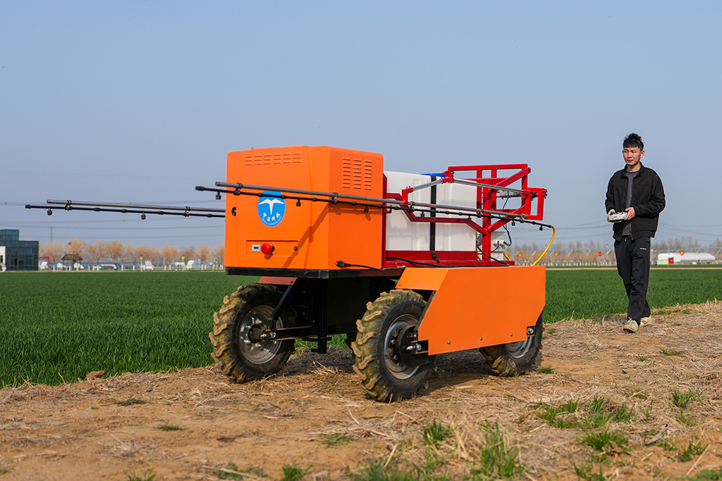 3月9日，喷药机器人在田间行进。