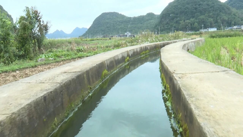 马官镇金荷村1.5公里的沟渠浇灌着沿途千亩田地,为周围农户带来实实在在的便利之处。.jpg