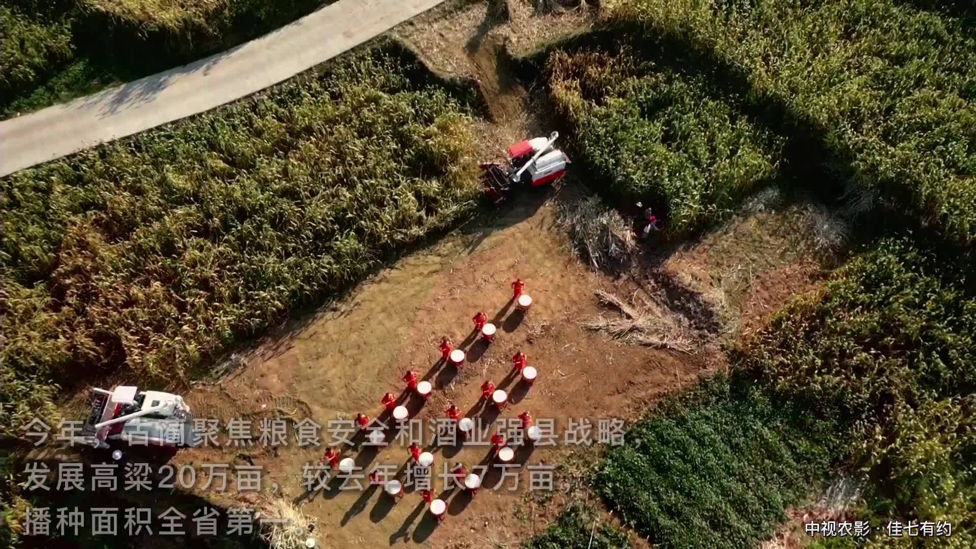 泸州市2022年中国农民丰收节暨首届古蔺高粱丰登节活动回顾