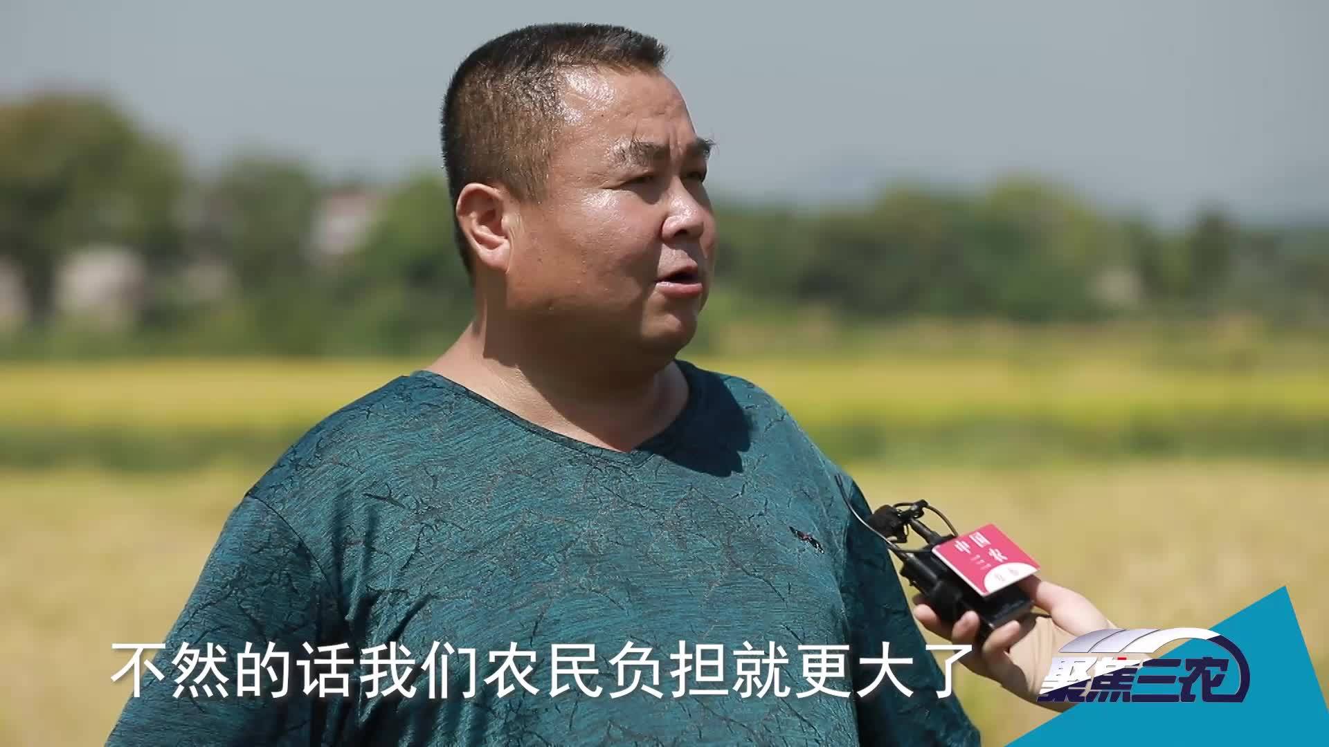 [聚焦三农]丰收到你家：一粒稻谷的旅程