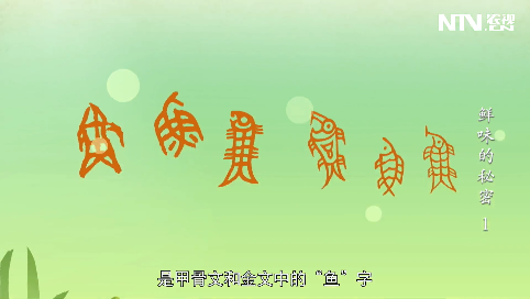 《鲜味的秘密》第一集