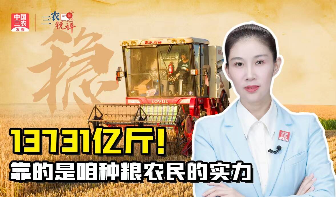 [三农快评]13731亿斤！靠的是咱种粮农民的实力