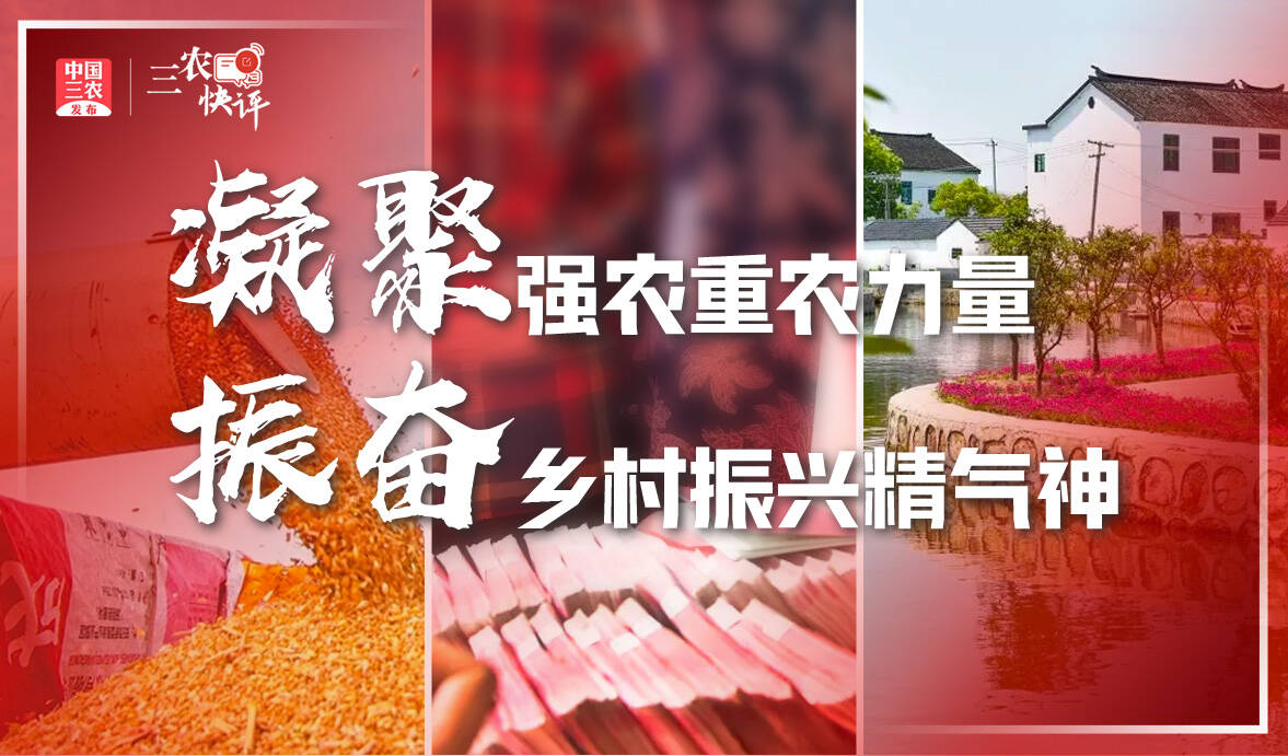 [三农快评]凝聚强农重农力量，振奋乡村振兴精气神