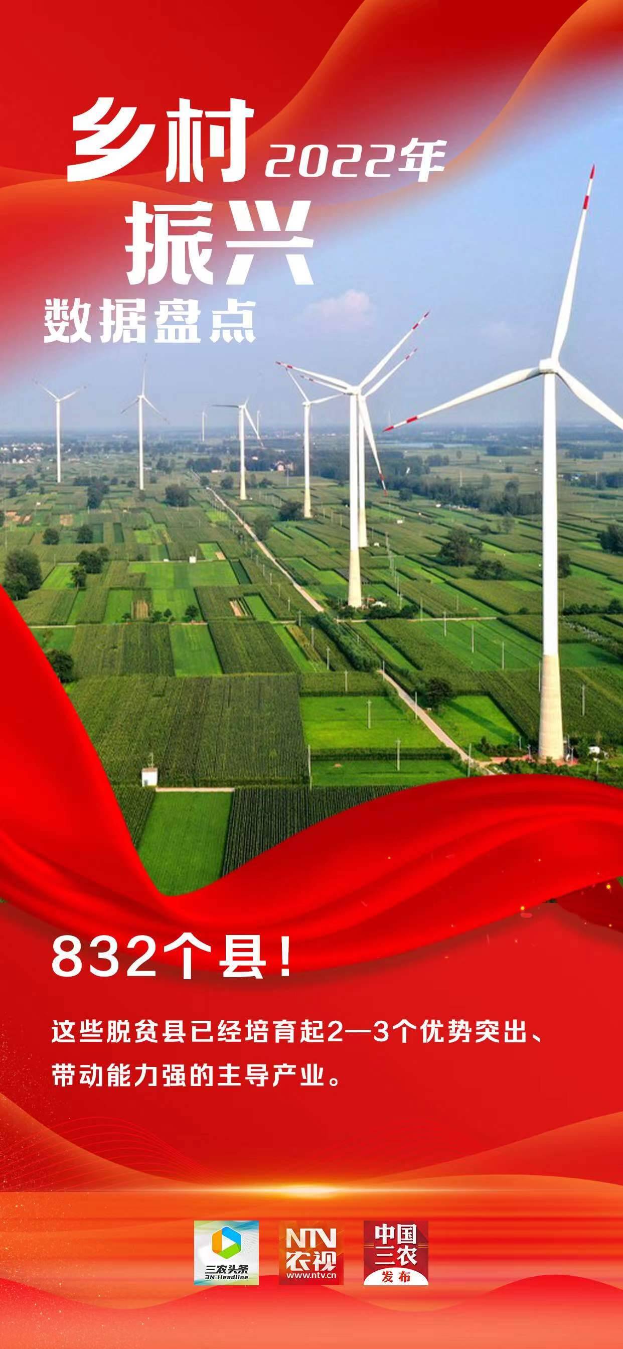 2022年乡村振兴数据盘点