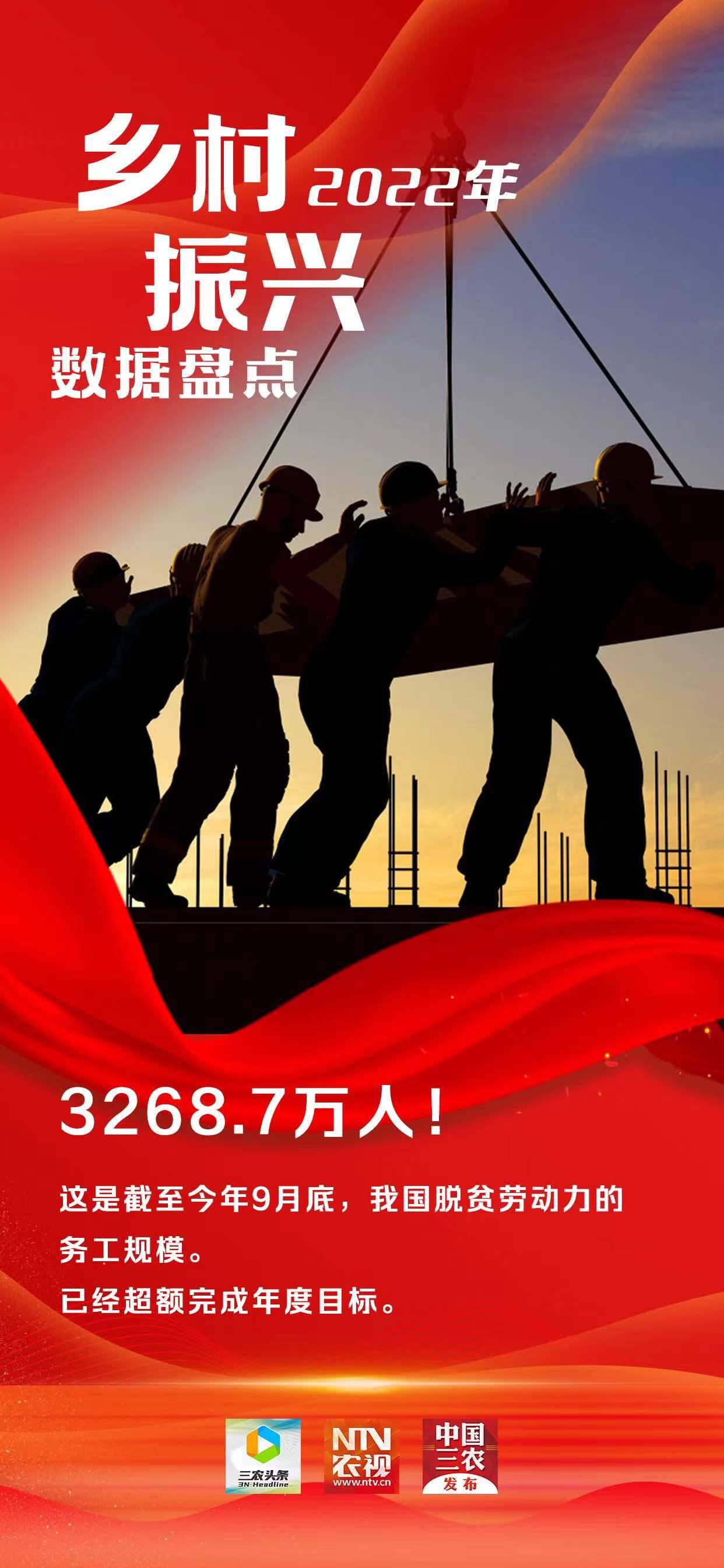 2022年乡村振兴数据盘点