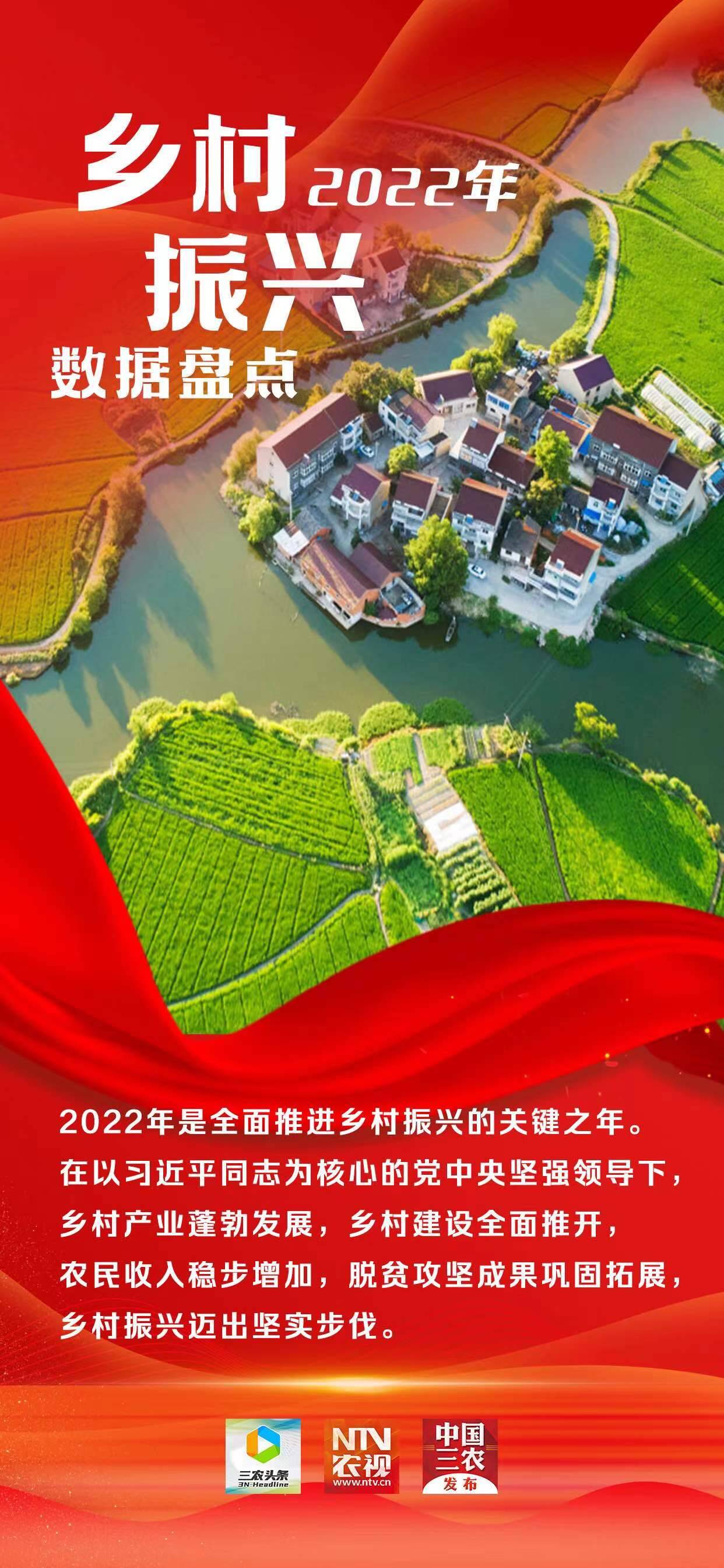 2022年乡村振兴数据盘点