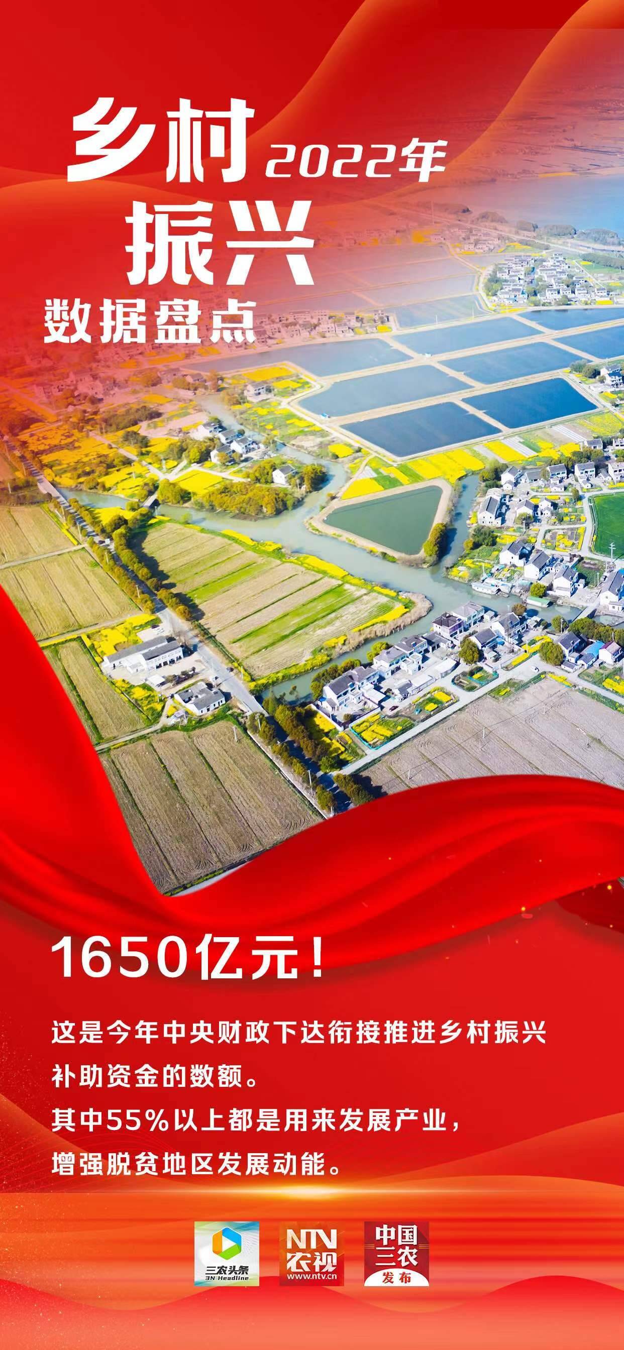 2022年乡村振兴数据盘点