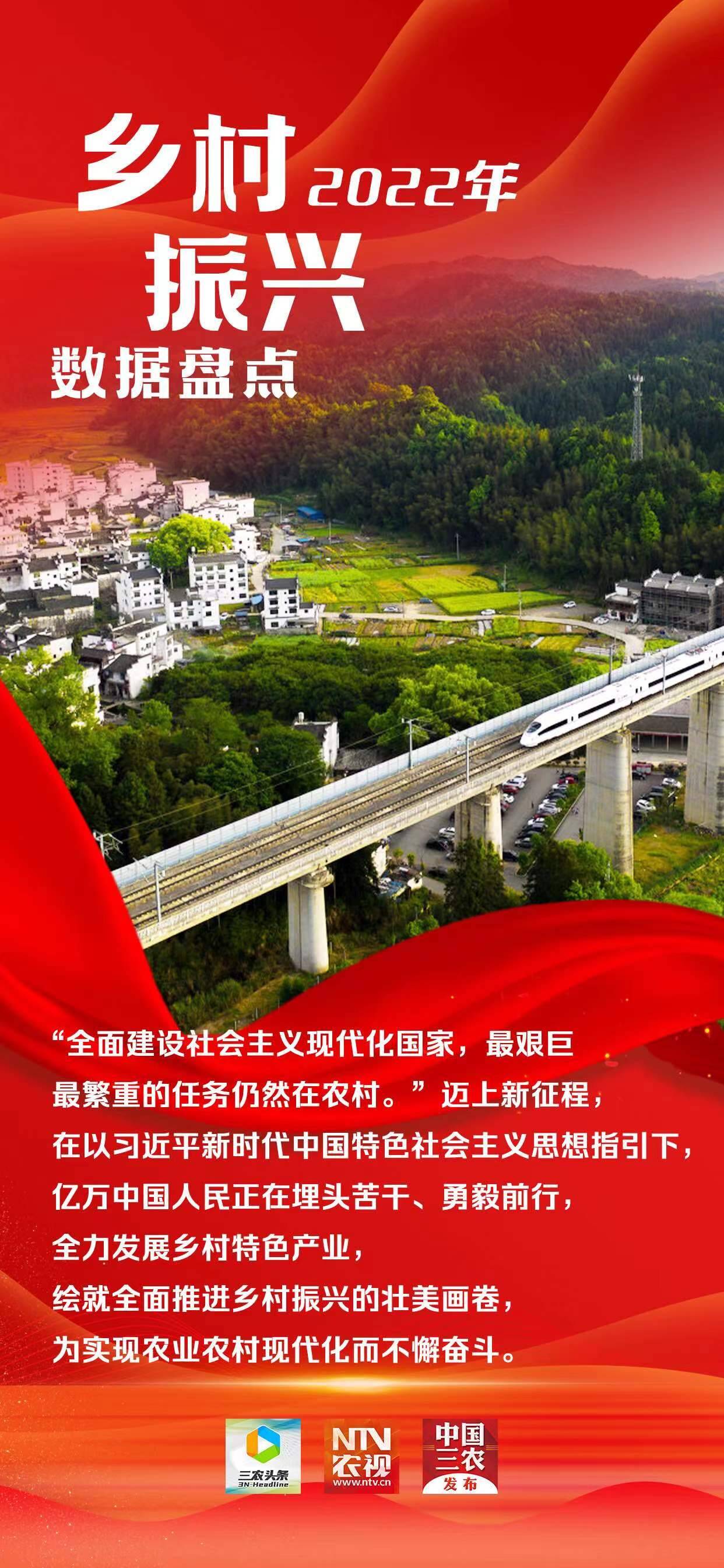 2022年乡村振兴数据盘点