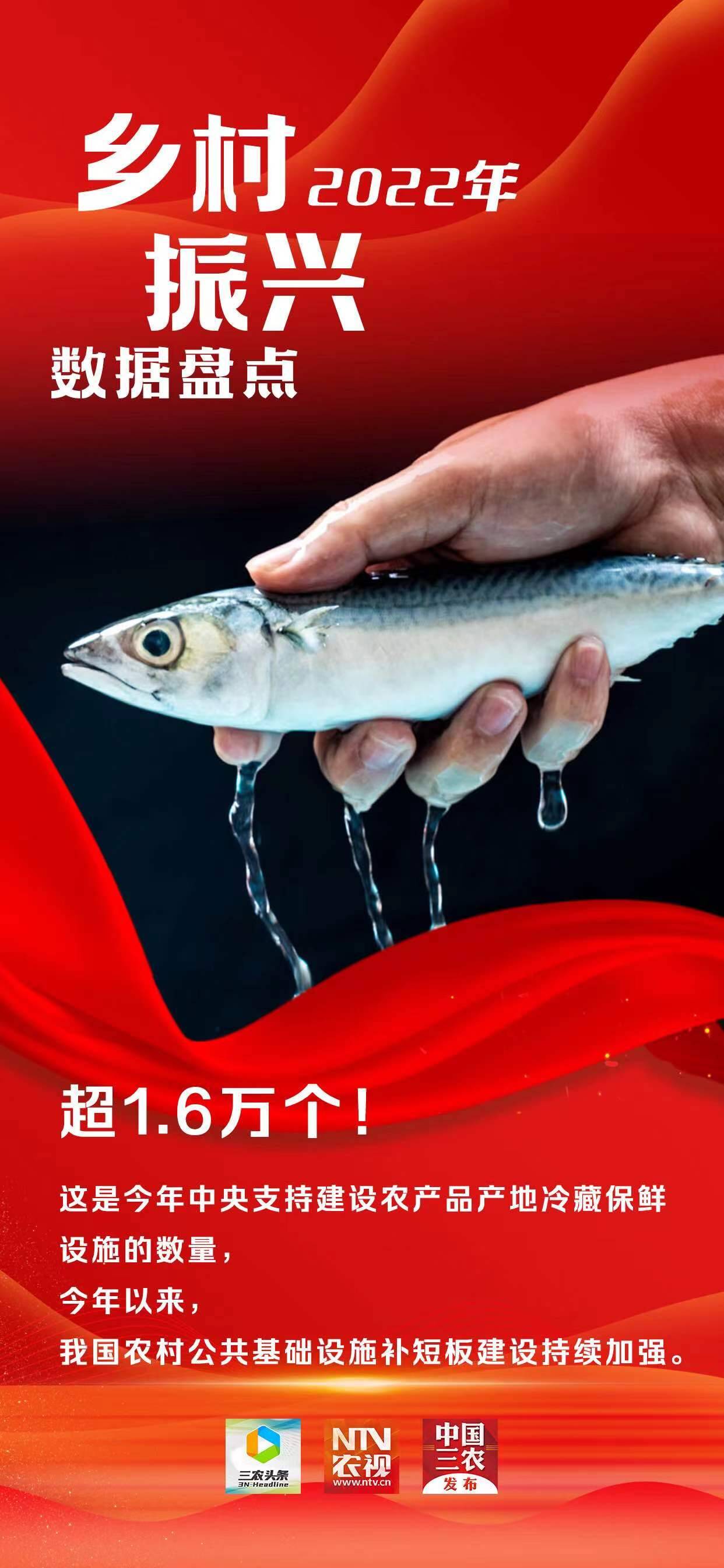 2022年乡村振兴数据盘点