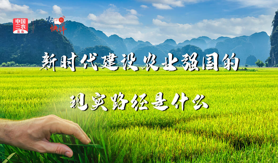[三农快评]解读中央农村工作会议之三 新时代建设农业强国的现实路径是什么