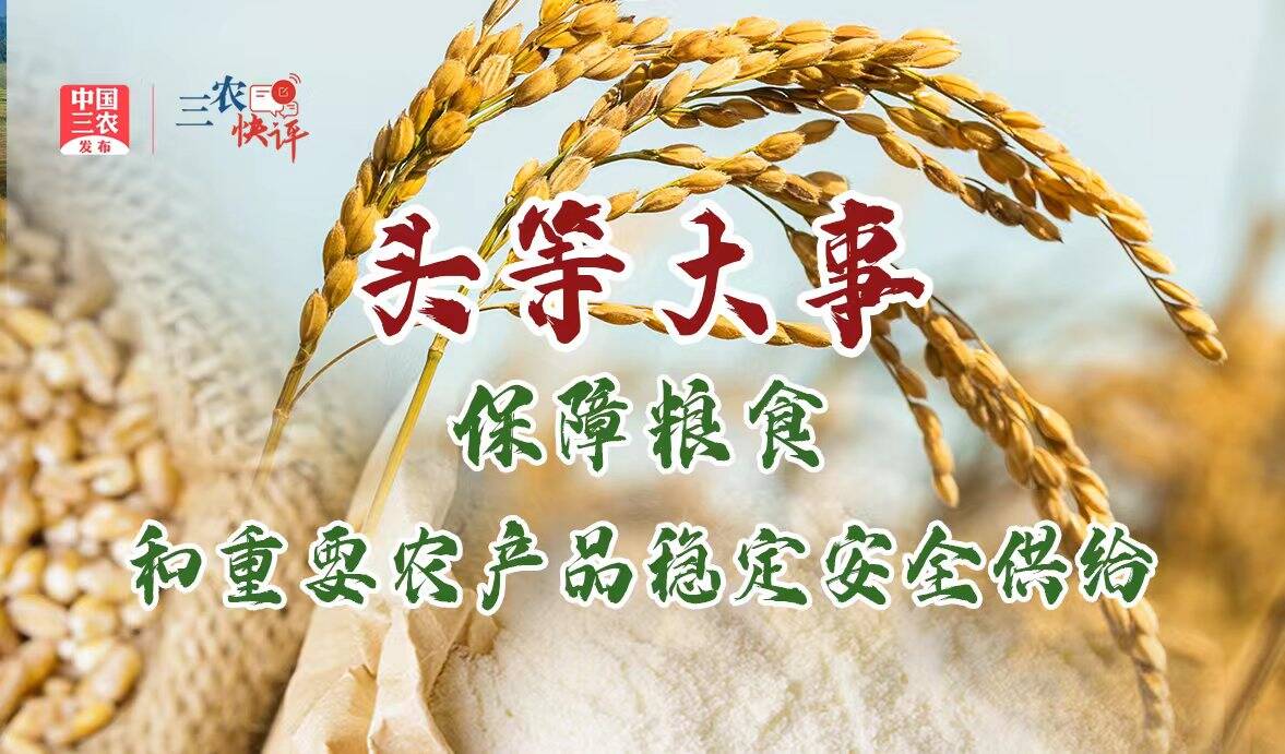 [三农快评]解读中央农村工作会议之二 头等大事：保障粮食和重要农产品稳定安全供给