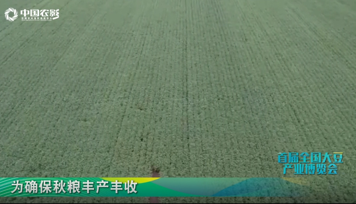  Carry out "one spraying and multiple promotion" of corn and soybeans to boost autumn harvest