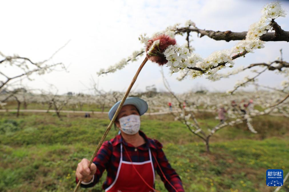 6969新华社发(赵东山摄