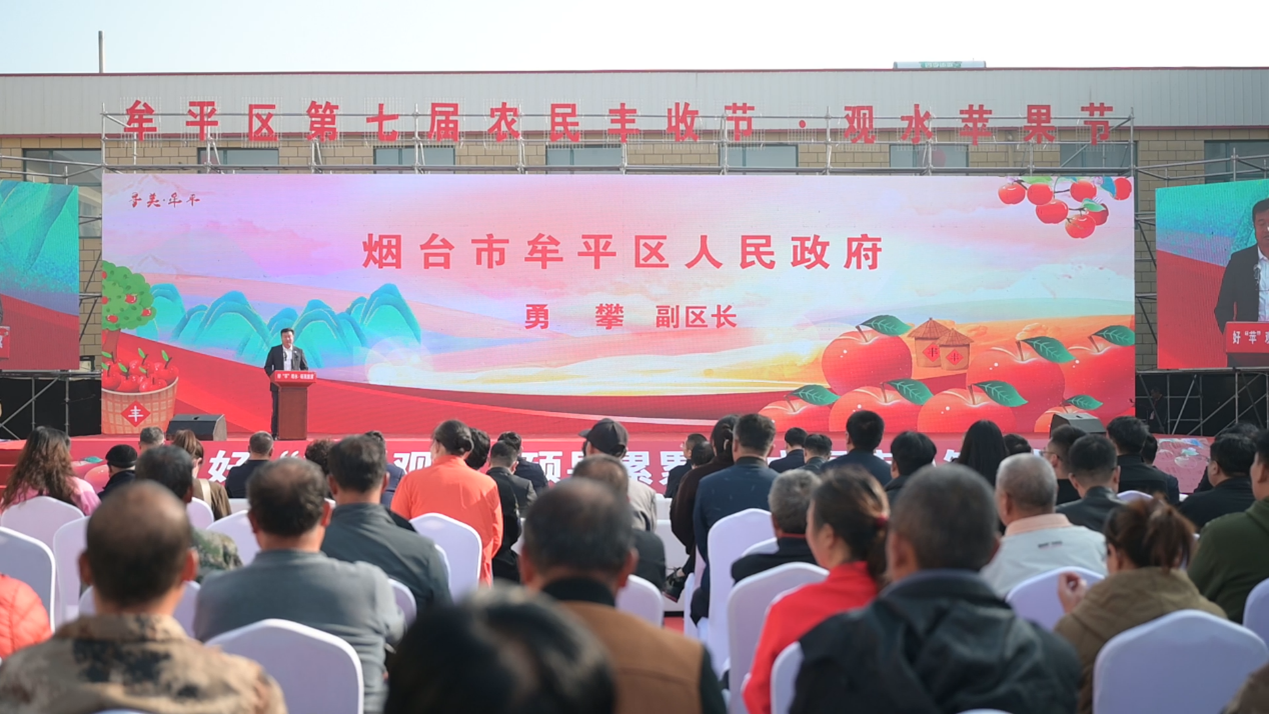 漫山苹果红，丰收喜悦浓—— 牟平区第七届农民丰收节·观水苹果文化节圆满举行(图3)