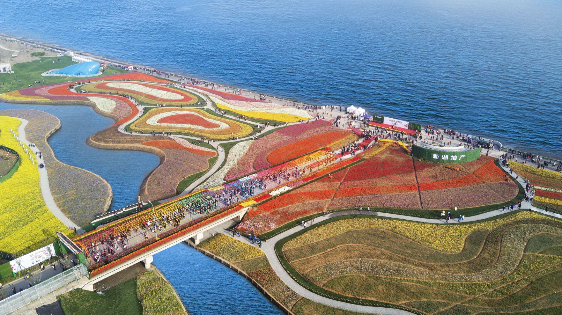 1606377477086347.jpg 图片1.jpg