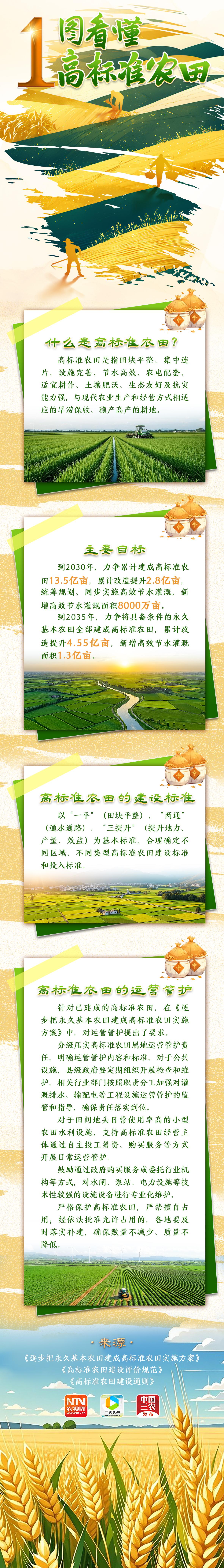 5b8d4d64fde9258cb57c2ef8f2963ed.jpg