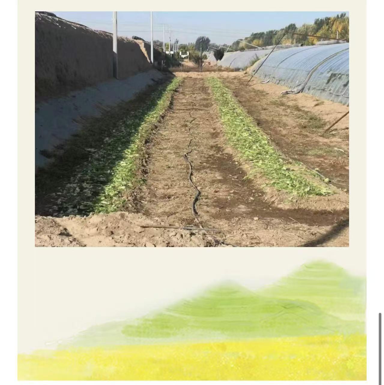 10291752404319_.pic.jpg