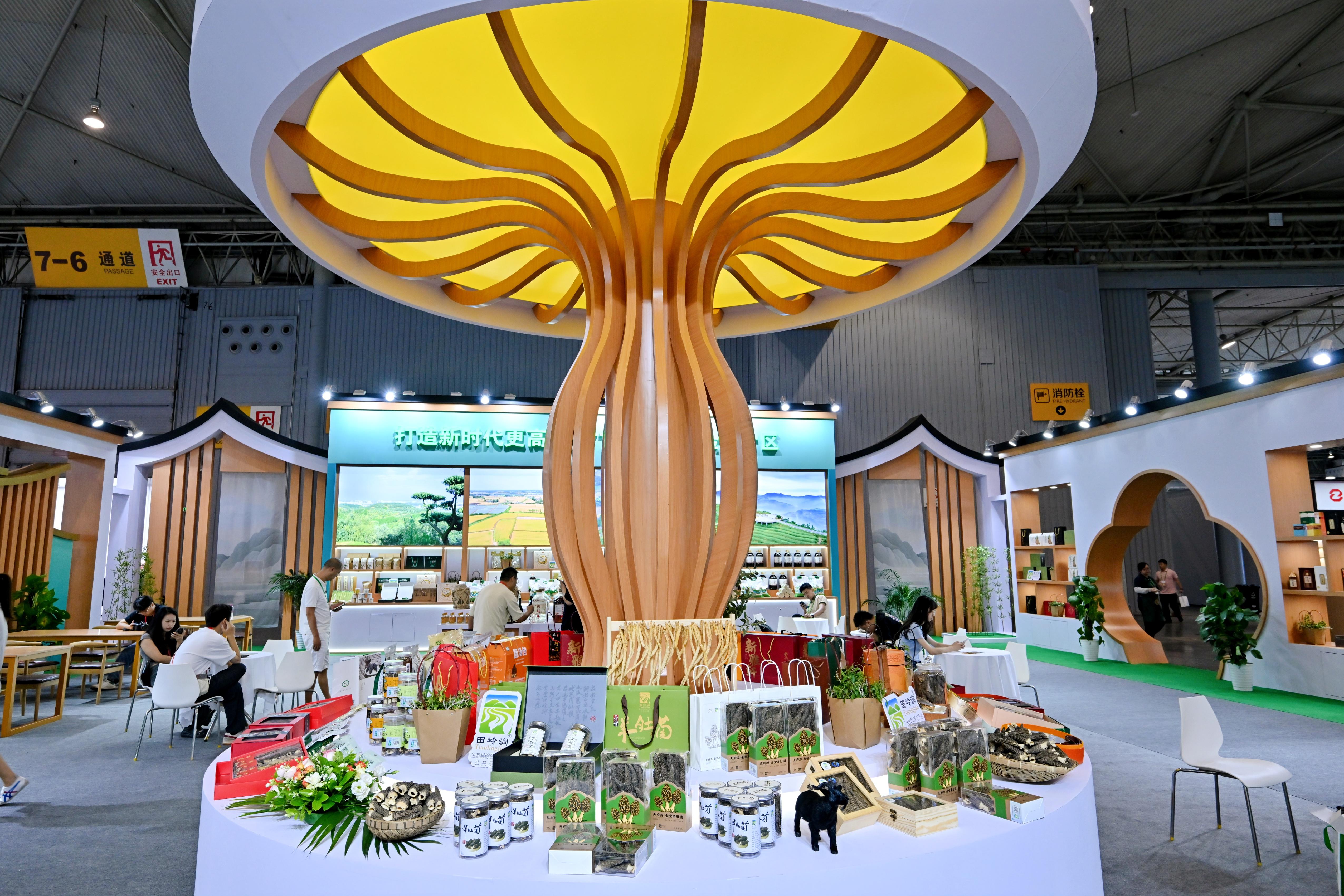 JDY_0910.JPG