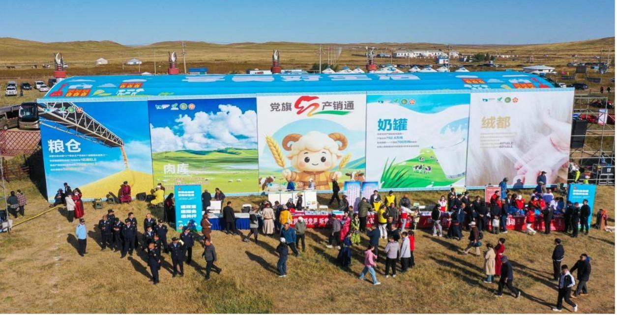 图片 8.jpg