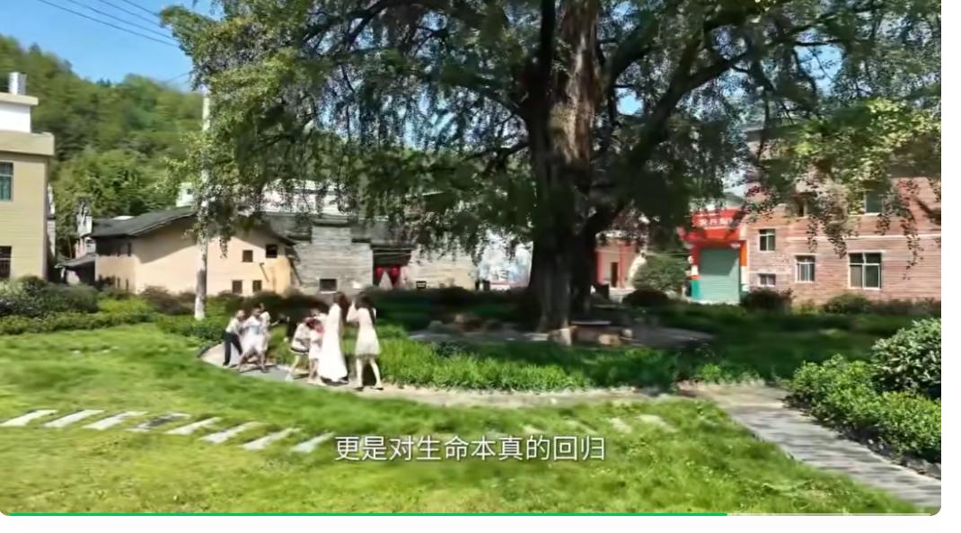 2030455951610259.jpg 10.10 1-15.jpg