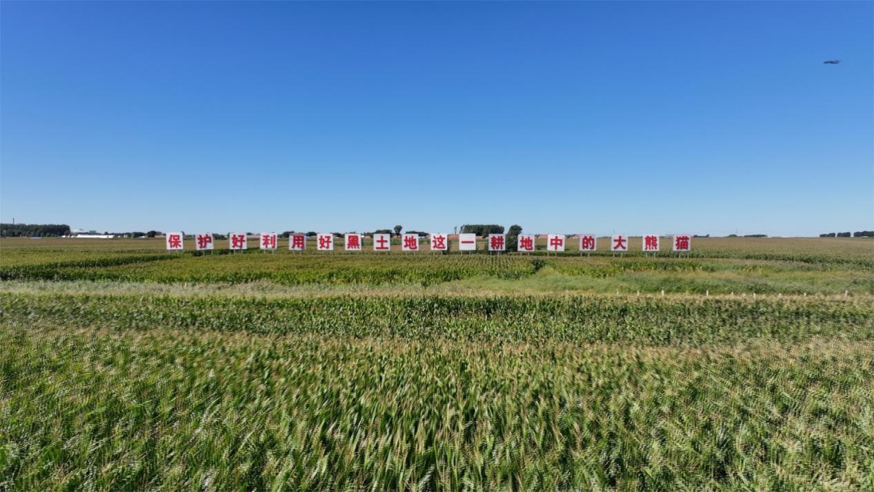 2153451573645455.jpg 11.7 2-2.jpg