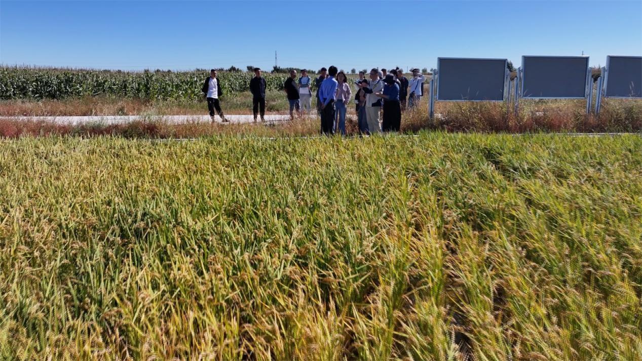 2158238398603173.jpg 11.7 2-6.jpg