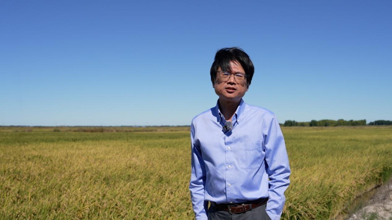 2159045499109162.jpg 11.7 2-7.jpg