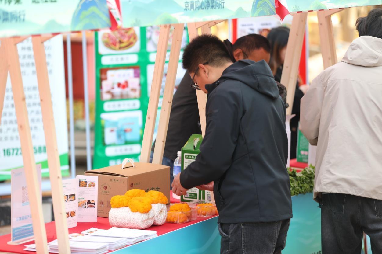 2027253666562028.jpg 11.16 1-2.jpg