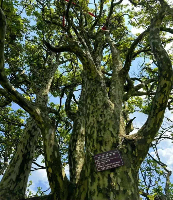 1615102817569496.png image.png