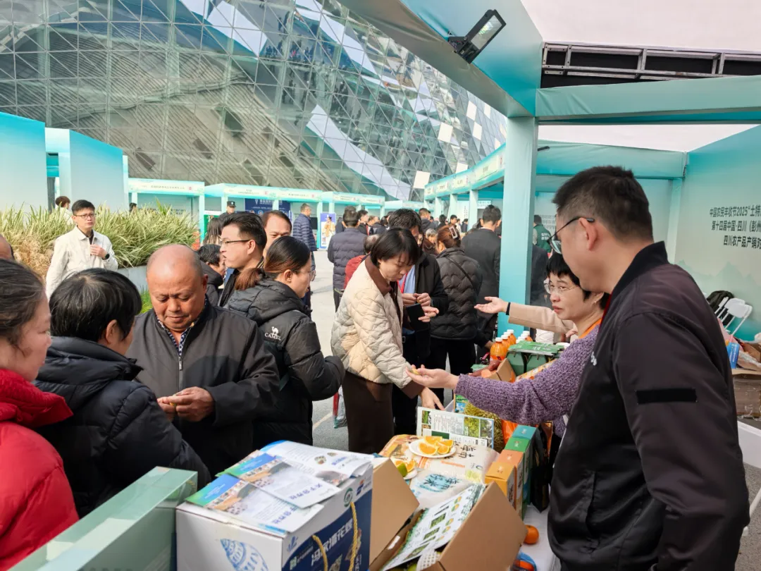 1157094266898904.png 图片3.png