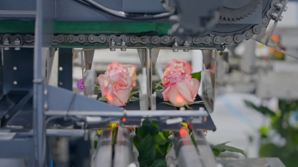 1737294681097762.png 2.png