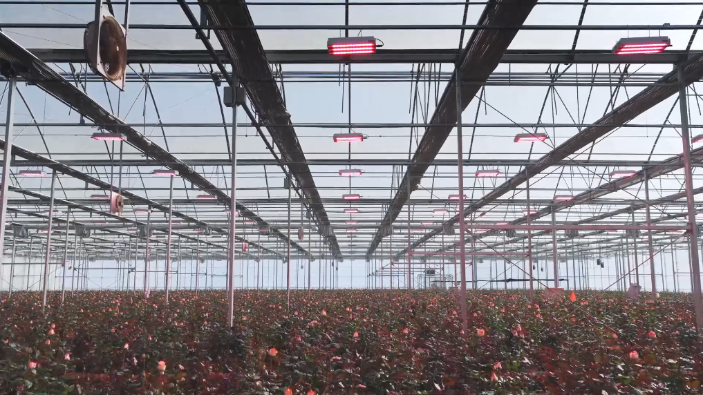 1738102543746439.png 4.png