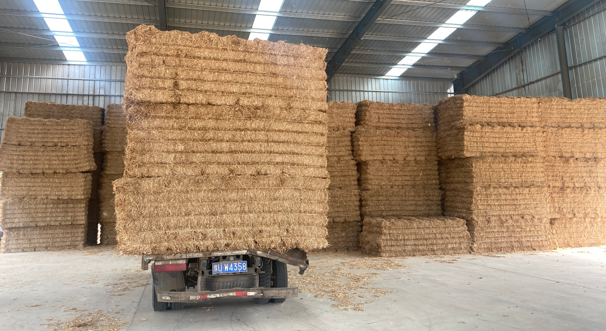 2228379164572552.png 12.25 1-1.png