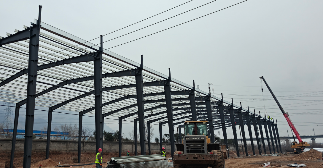 2229149012736780.png 12.25 1-2.png