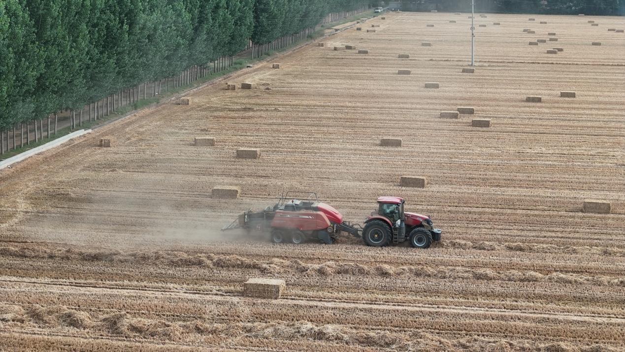 2229471720076277.jpg 12.25 1-3.jpg