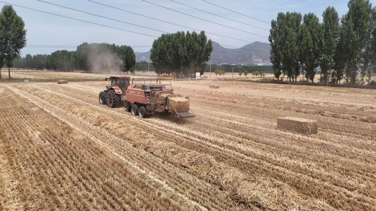 2230213103756901.jpg 12.25 1-4.jpg