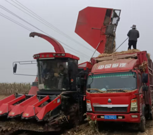 2235009629407611.png 12.25 1-7.png